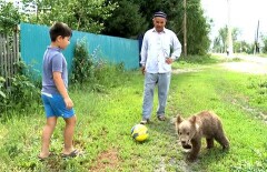 Сельский имам из ВКО приютил дома медвежонка 