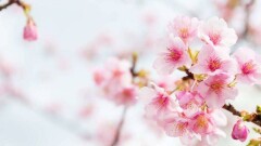 Прогноз погоды на 4 апреля: на юге Казахстана ожидается до +25 градусов
