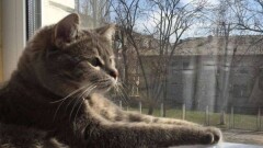 Синоптики рассказали, какой будет погода в четверг, 26 октября