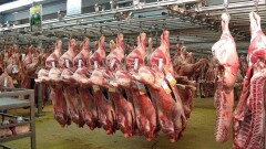 В ЕАЭС приняли единые ветеринарно-санитарные требования для животноводов