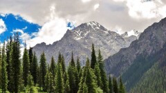В Казахстане начался приём заявок на премию в области туризма National Tourism Awards 2019