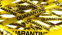 Карта опасных зон Алматы: число очагов заражения выросло до 38
