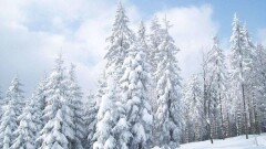 Мороз в Казахстане только усилится – "Казгидромет"