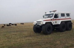 Экзамен для вездеходов устроили спасатели Южно-Казахстанской области
