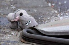 Врачи Шымкента борются за жизнь 9-летнего мальчика, сбитого на пешеходном переходе