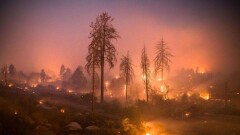 В Калифорнии в пожарах погибло уже 83 человека, дождь усложнил поиски пропавших