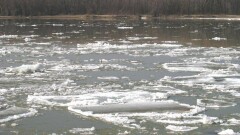 Найдено тело старшего из братьев, утонувших во время паводка в Карагандинской области 