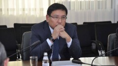 Внедрить ОСМС в 2019 году, а не в 2020-м попросил Назарбаева Досаев
