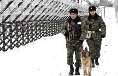 В тюрьму за прибылью