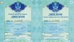Павлодарские колледжи незаконно продавали дубликаты дипломов