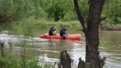 Пропавшую на берегу реки девочку нашли мёртвой в Алматинской области