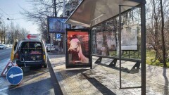 Дороги и тротуары в Алматы будут дезинфицировать два раза в день 