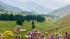Министр Раимкулова: Строительство туробъектов – уровень акиматов, но проект "Кокжайлау" вышел за эти рамки