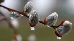 Прогноз погоды на 20 апреля: на большей части страны прогнозируют осадки из-за влияния циклона