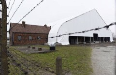 91-летнюю немку обвиняют в причастности к гибели 260 тысяч пленников Освенцима