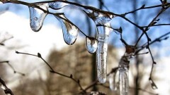 Погода на 25 февраля: на севере морозы, на юге – оттепель