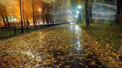 Прогноз погоды на 29 октября: на большей части территории страны ожидаются дожди