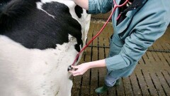 Кайрат Айтуганов: У МСХ руки стали короткие проверять сведения на местах