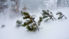 Прогноз погоды на 6 февраля: усиление ветра ожидается на всей территории Казахстана