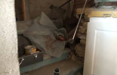 Тело младенца нашли во дворе медцентра в Шымкенте