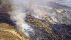 Беда не приходит одна: пока половодьем топит север страны, на юге горят особо охраняемые леса