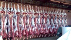Китайская компания инвестирует 47 млн долларов в некогда проблемный мясокомбинат в ЗКО