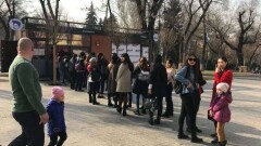 Первый аукцион киосков в Алматы выиграл вайнер
