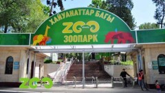 Дело экс-бухгалтера алматинского зоопарка о хищении 32 млн тенге передано в суд