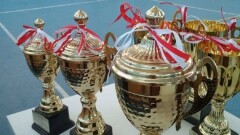 Почётные награды – в копилку спортивных побед 