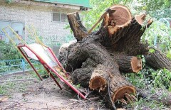 В Алматы разрушили детскую площадку, повалив на неё срубленное дерево