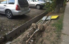 В Алматы выкорчевали знаки платной парковки