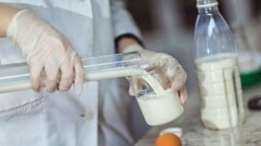 О вредных жирах в импортных молочных продуктах предупредил главный санврач страны