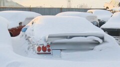 Принадлежащий Тимати Audi TT ржавеет на штрафстоянке в Петропавловске