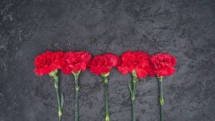 Алматинцев призвали 9 мая не ездить на кладбища и не возлагать цветы в Парке 28 панфиловцев