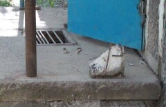 В Караганде куском бетона с козырька подъезда убило ребёнка