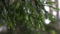 Осадки обещают синоптики на 22 сентября