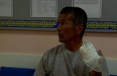 Медведь откусил палец уборщику в шымкентском зоопарке 