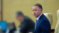 "9 айда ана да босанып, балалы болады". Мәжіліс төрағасы үкіметтегі бюрократия мен қағазбастылықты сынға алды