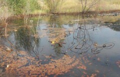 В Усть-Каменогорске обнаружено "озеро" отработанного масла
