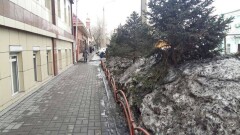 В Семее снег свалили возле магазинов, чтобы уберечь газоны от замерзания