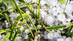 Прогноз погоды на 22 апреля: на большей части территории Казахстана пройдут осадки