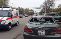 Из-за упавшего на Lexus дерева его пассажирка впала в шок в Алматы