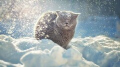 Прогноз погоды на 31 января: синоптики прогнозируют осадки на большей части страны