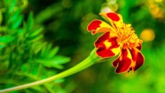 Жара ожидается 11 июля почти во всех регионах Казахстана