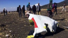 Данные чёрных ящиков показали сходство катастроф Boeing в Эфиопии и Индонезии
