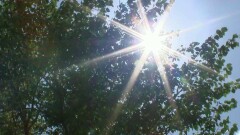 Синоптики рассказали, какой будет погода в четверг, 17 августа