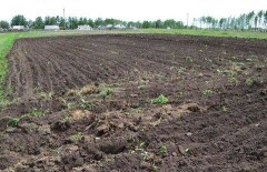 Свыше тысячи человек умерли в Актобе, не дождавшись 10 соток земли под ИЖС