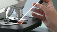 Возбудитель гепатита А нашли в пробах продуктов в школах и больницах Караганды 