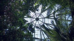 Как работает ботанический сад Алматы
