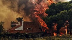 Национальный траур в Греции: в лесных пожарах погибло 50 человек